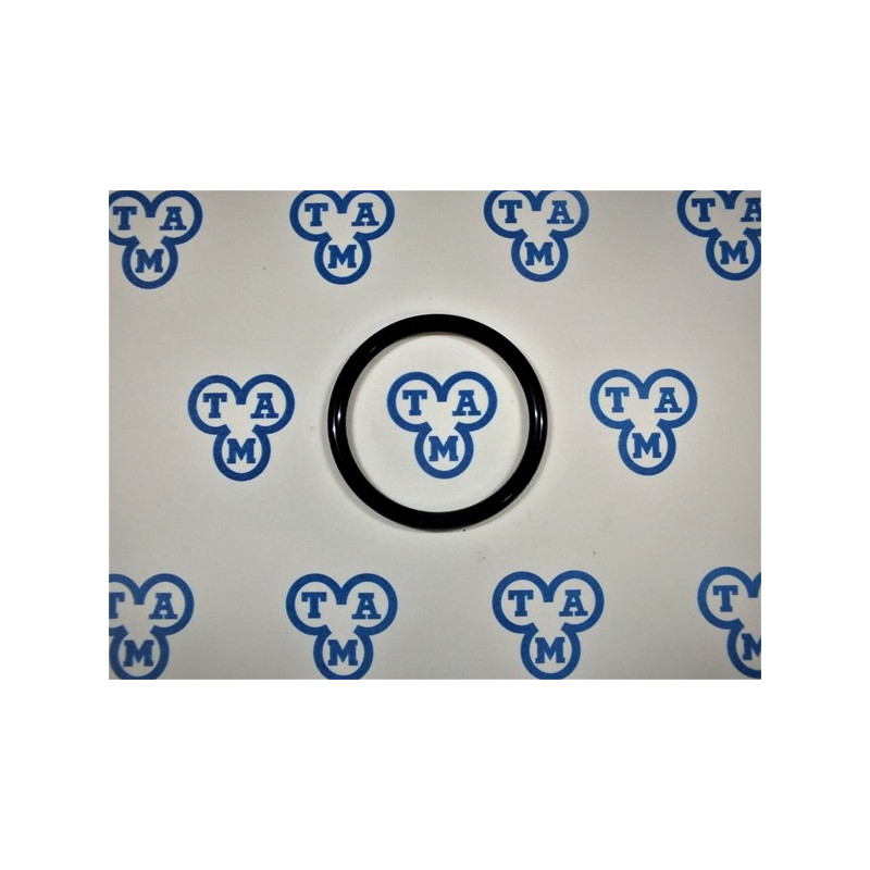 0131 9139 Enj. Pompa Oring