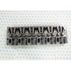 0429 2633 SÝLÝNDÝR KAPAÐI...