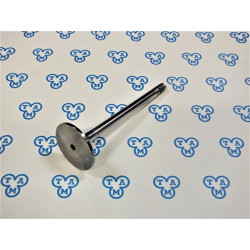 0428 3376 Emme Subap